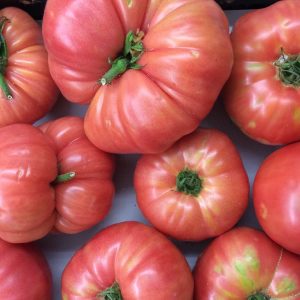 Tomate Rosa de Aragón